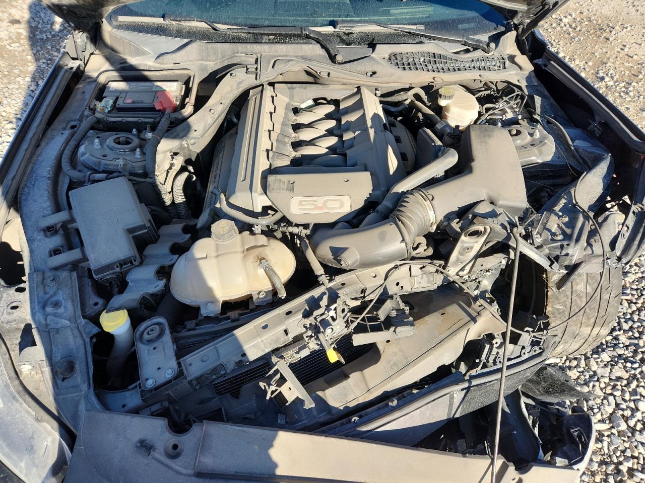 2015 Ford Mustang Gt VIN: 1FA6P8CF4F5389389 Lot: 85010575