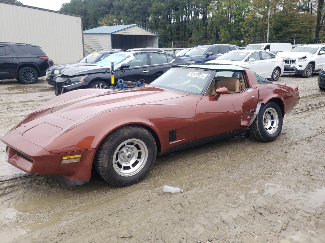 1981 Chevrolet Corvette