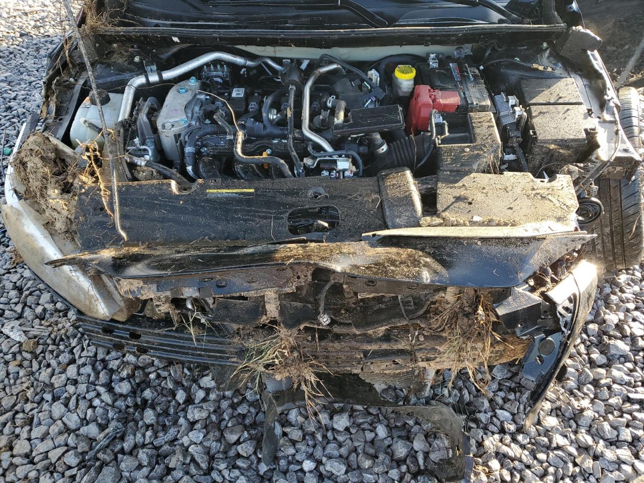 2024 Nissan Sentra Sv VIN: 3N1AB8CV0RY361996 Lot: 89661155