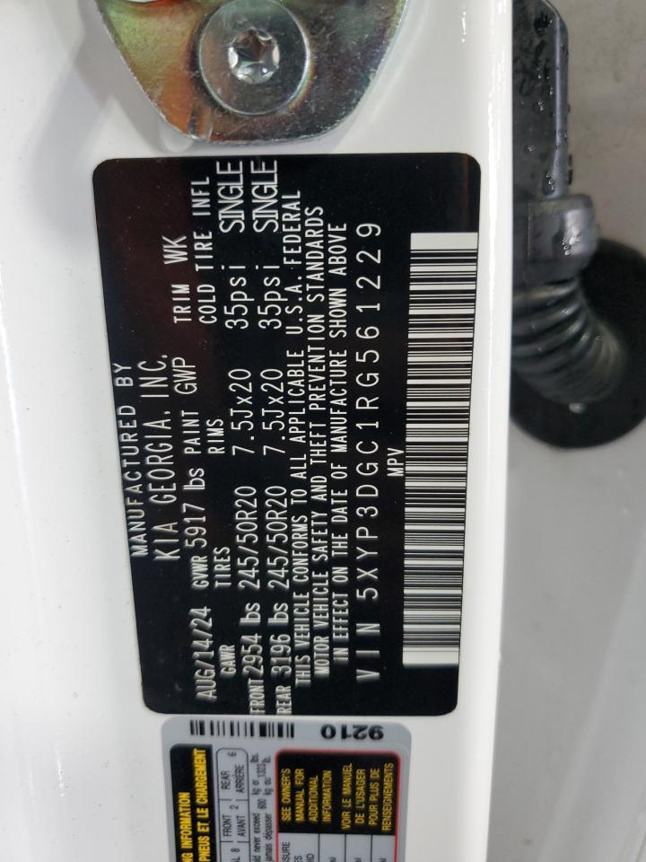 2024 Kia Telluride Ex VIN: 5XYP3DGC1RG561229 Lot: 86143915