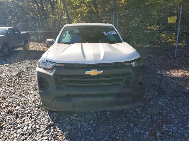  CHEVROLET COLORADO 2023 Белы