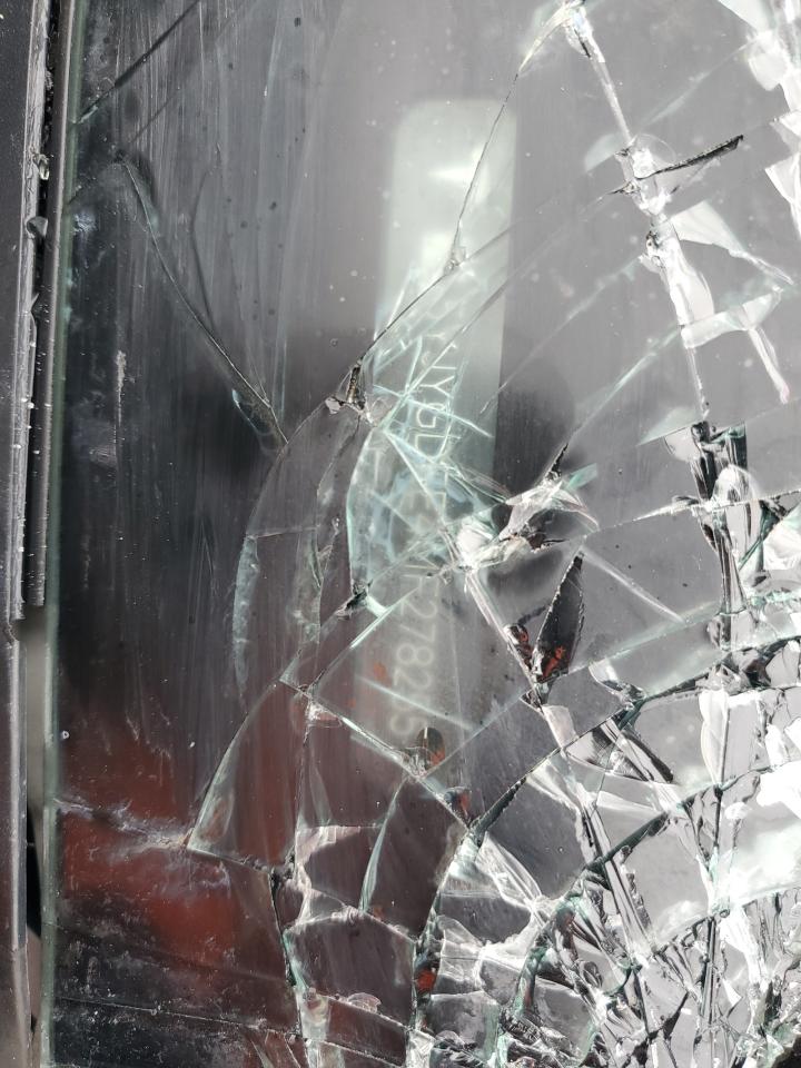 2021 Tesla Model Y VIN: 5YJYGDEE4MF278255 Lot: 82501695