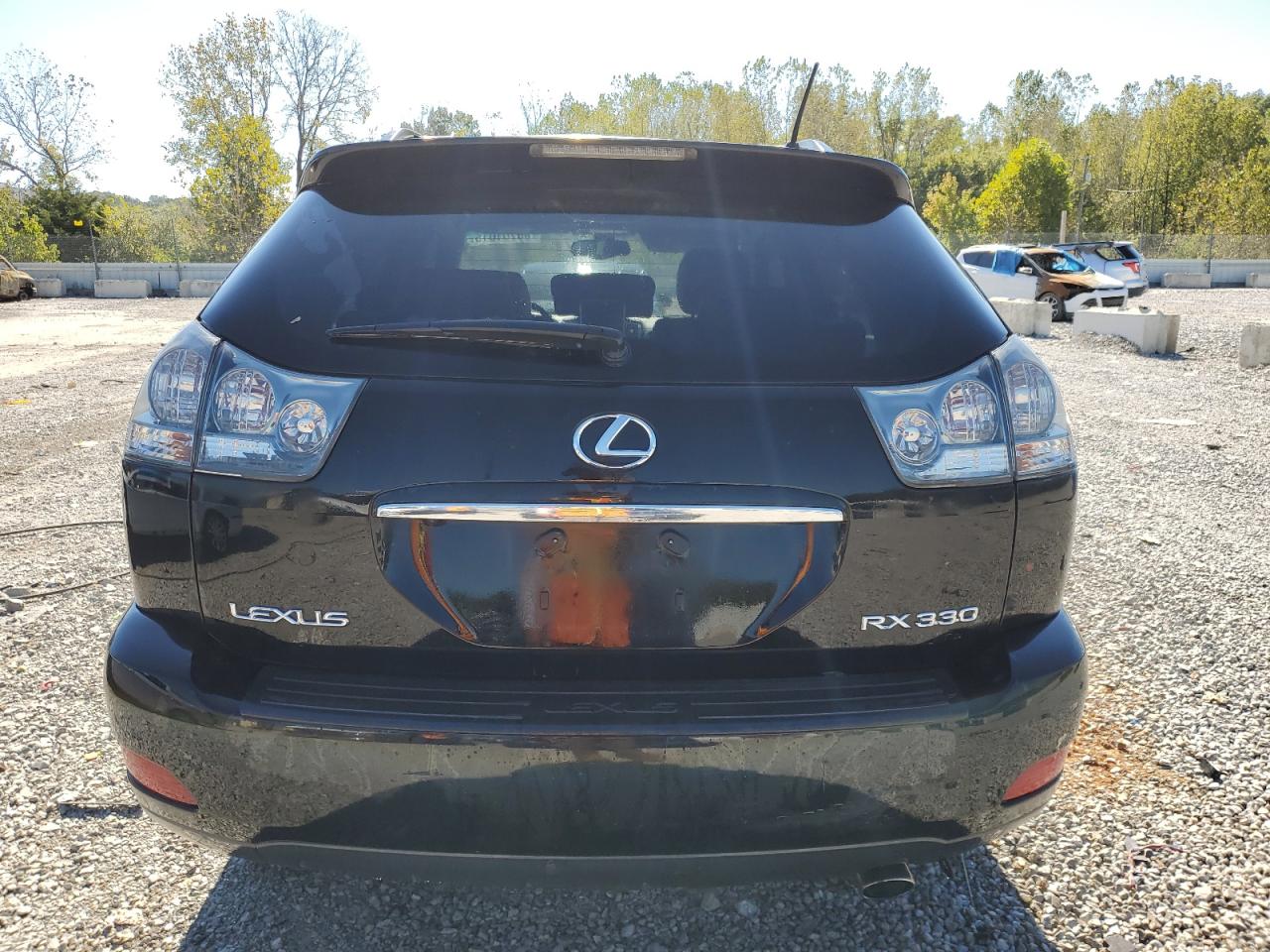 2004 Lexus Rx 330 VIN: JTJHA31U640013387 Lot: 85701015