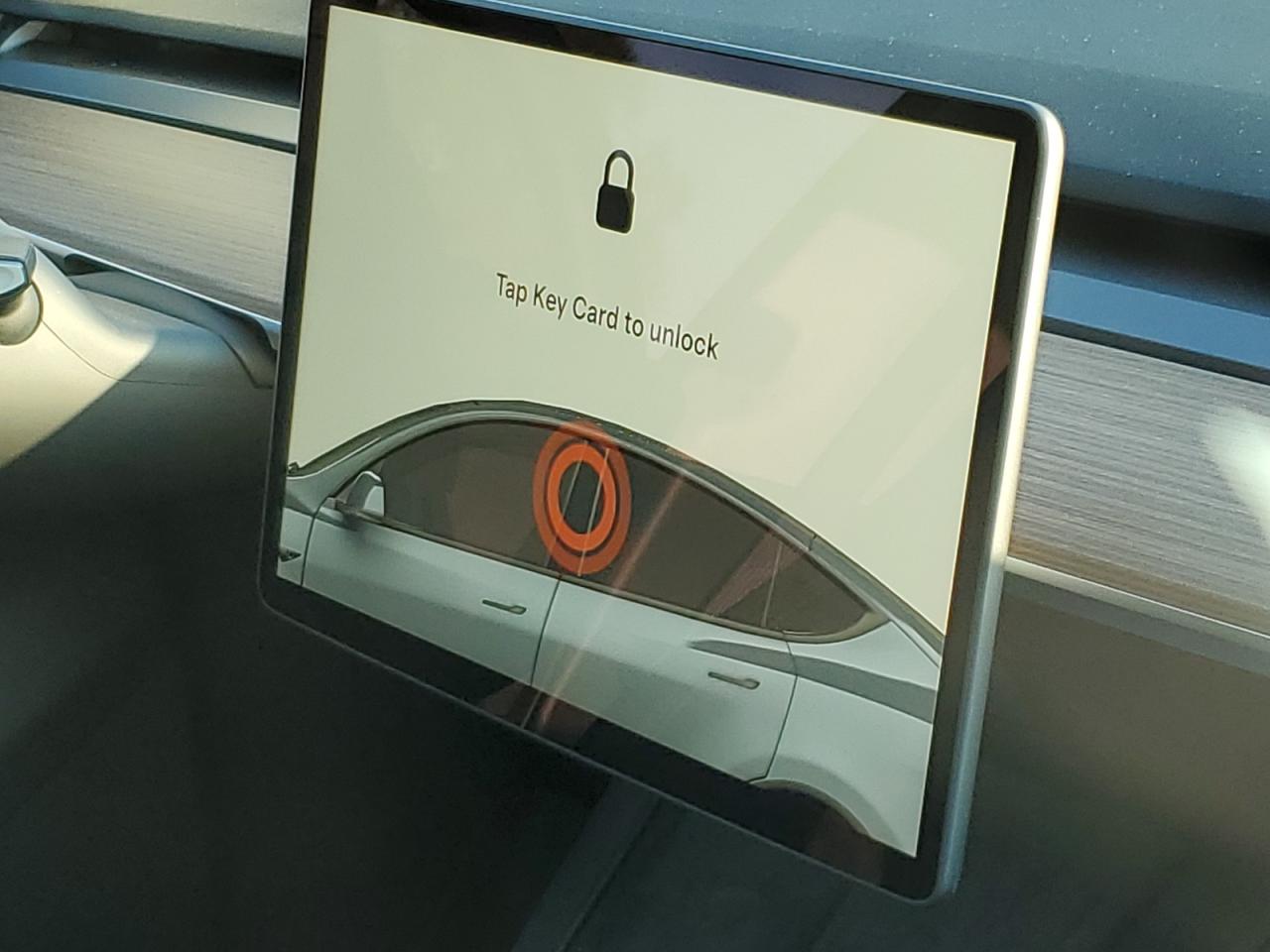 2025 Tesla Model Y VIN: 7SAYGDEE2SF248557 Lot: 84877515