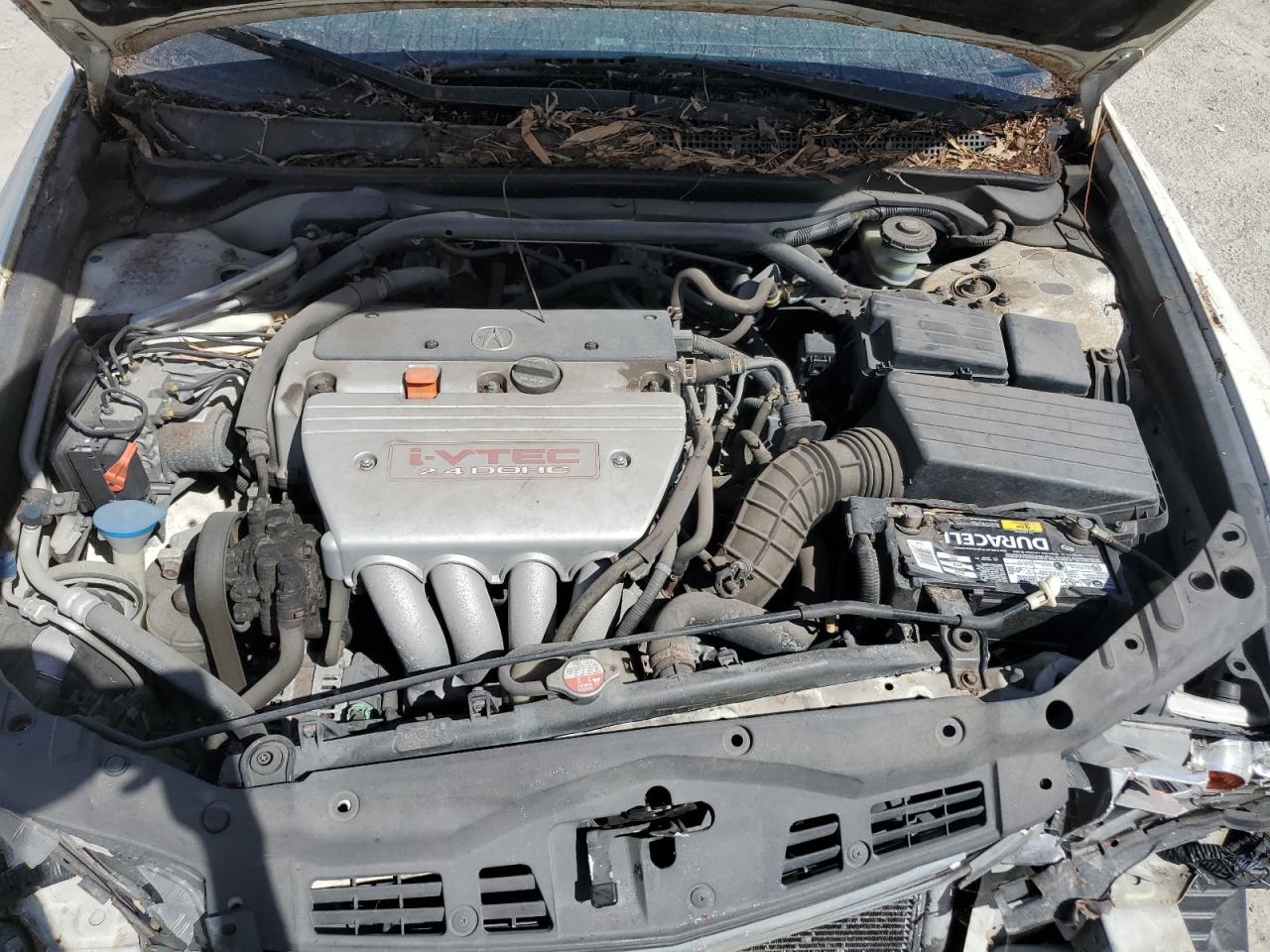 2008 Acura Tsx VIN: JH4CL96998C019041 Lot: 81911865