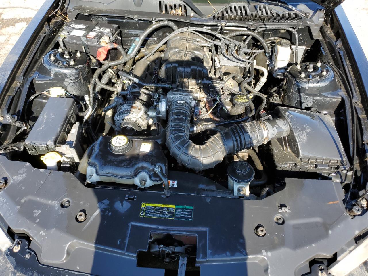 2010 Ford Mustang VIN: 1ZVBP8AN9A5117767 Lot: 80802565