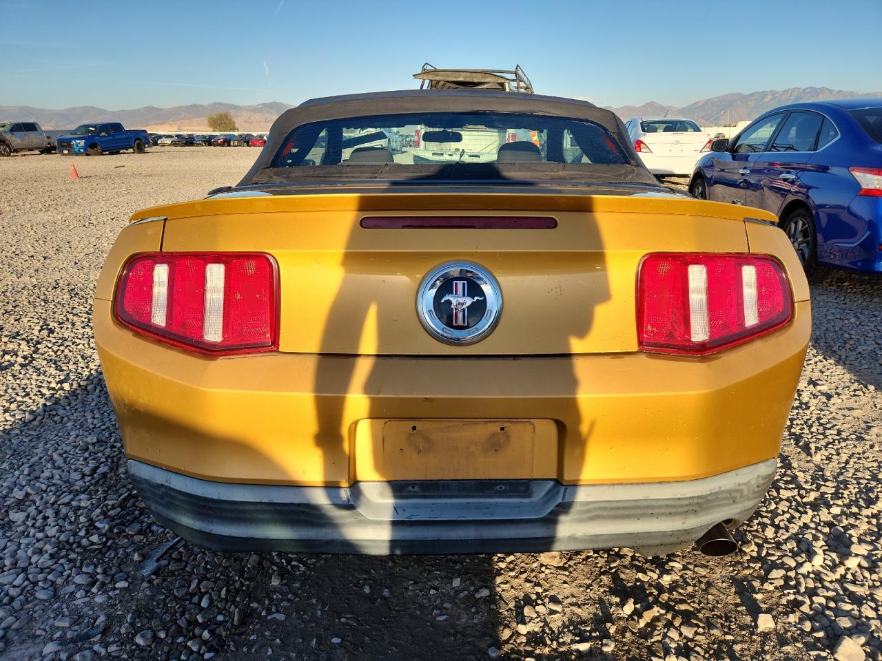 2010 Ford Mustang VIN: 1ZVBP8EN5A5167639 Lot: 85104495