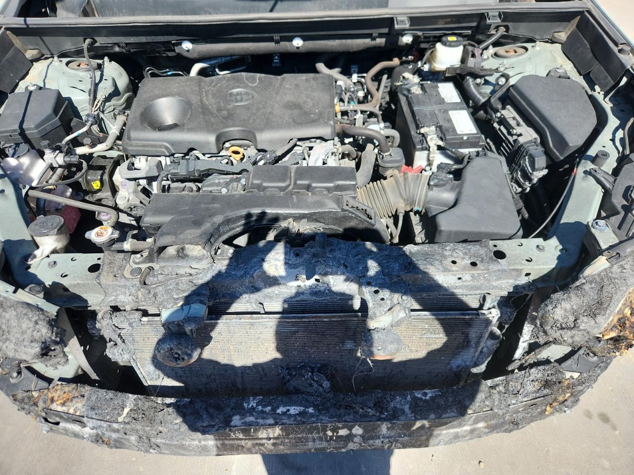2020 Toyota Rav4 Xle VIN: 2T3W1RFV5LW090468 Lot: 89519565