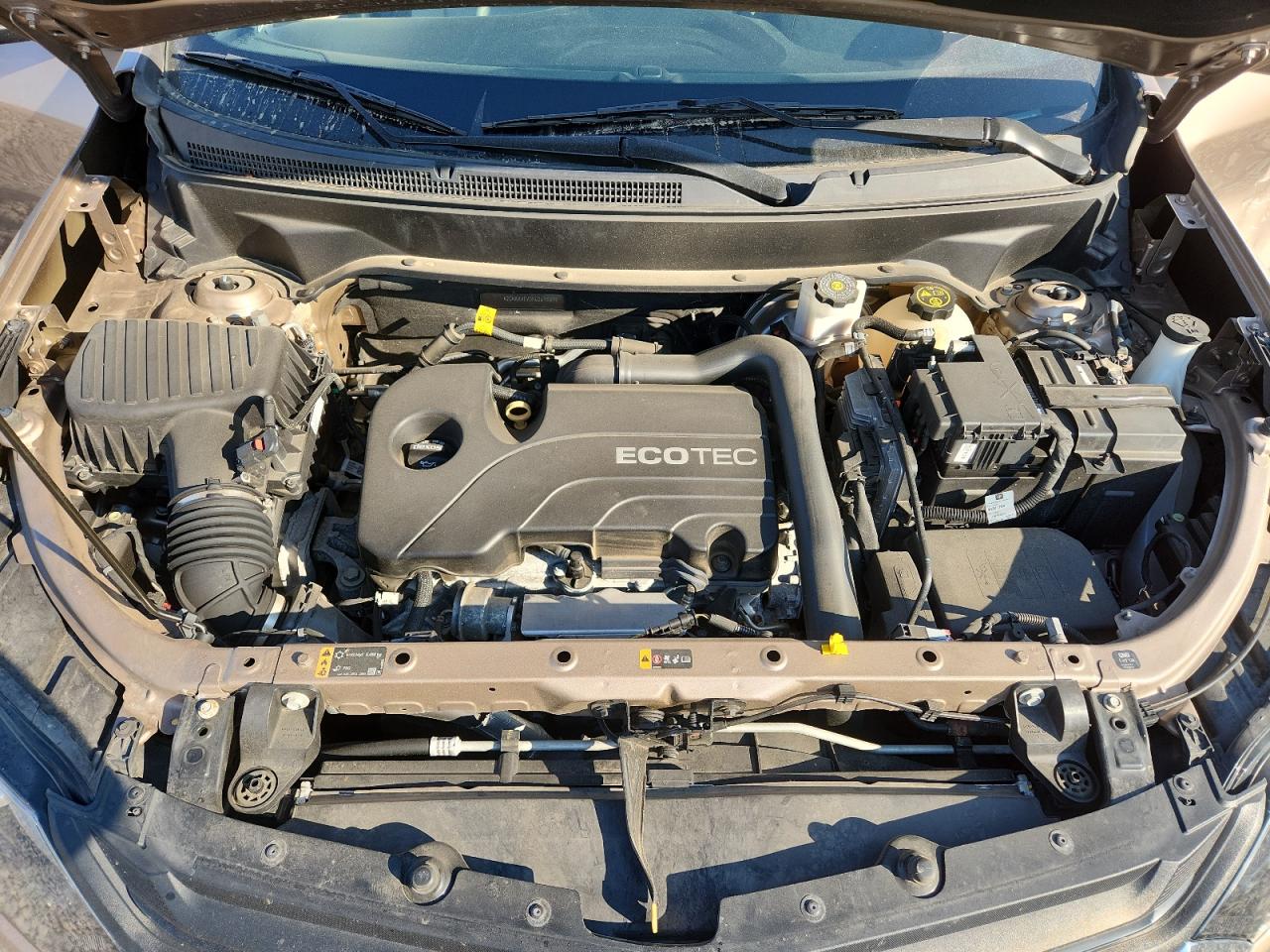 2019 Chevrolet Equinox Ls VIN: 2GNAXHEV0K6269569 Lot: 82231455