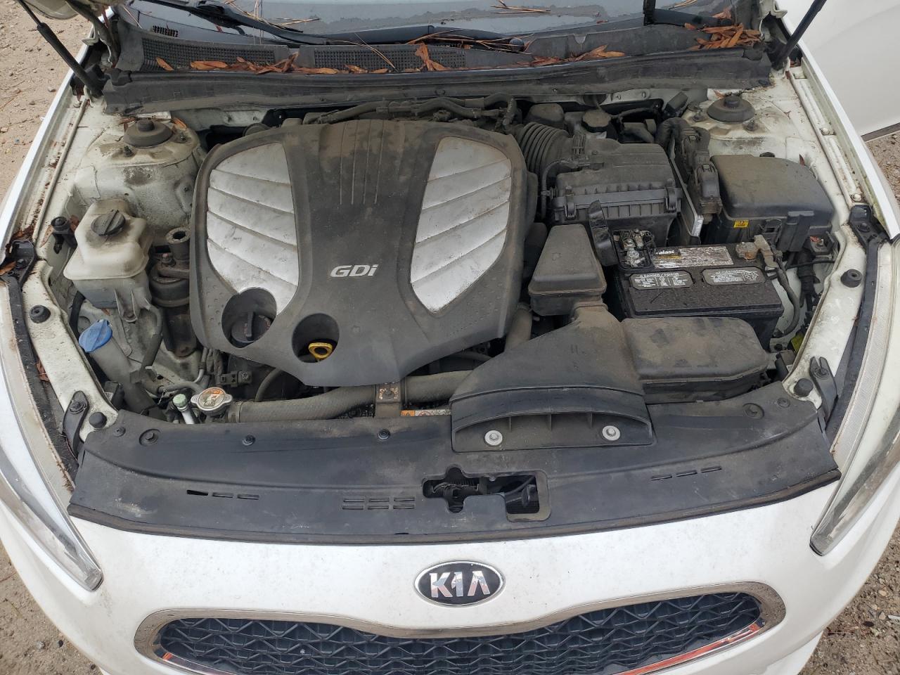 2015 Kia Cadenza Premium VIN: KNALN4D7XF5191982 Lot: 82217735