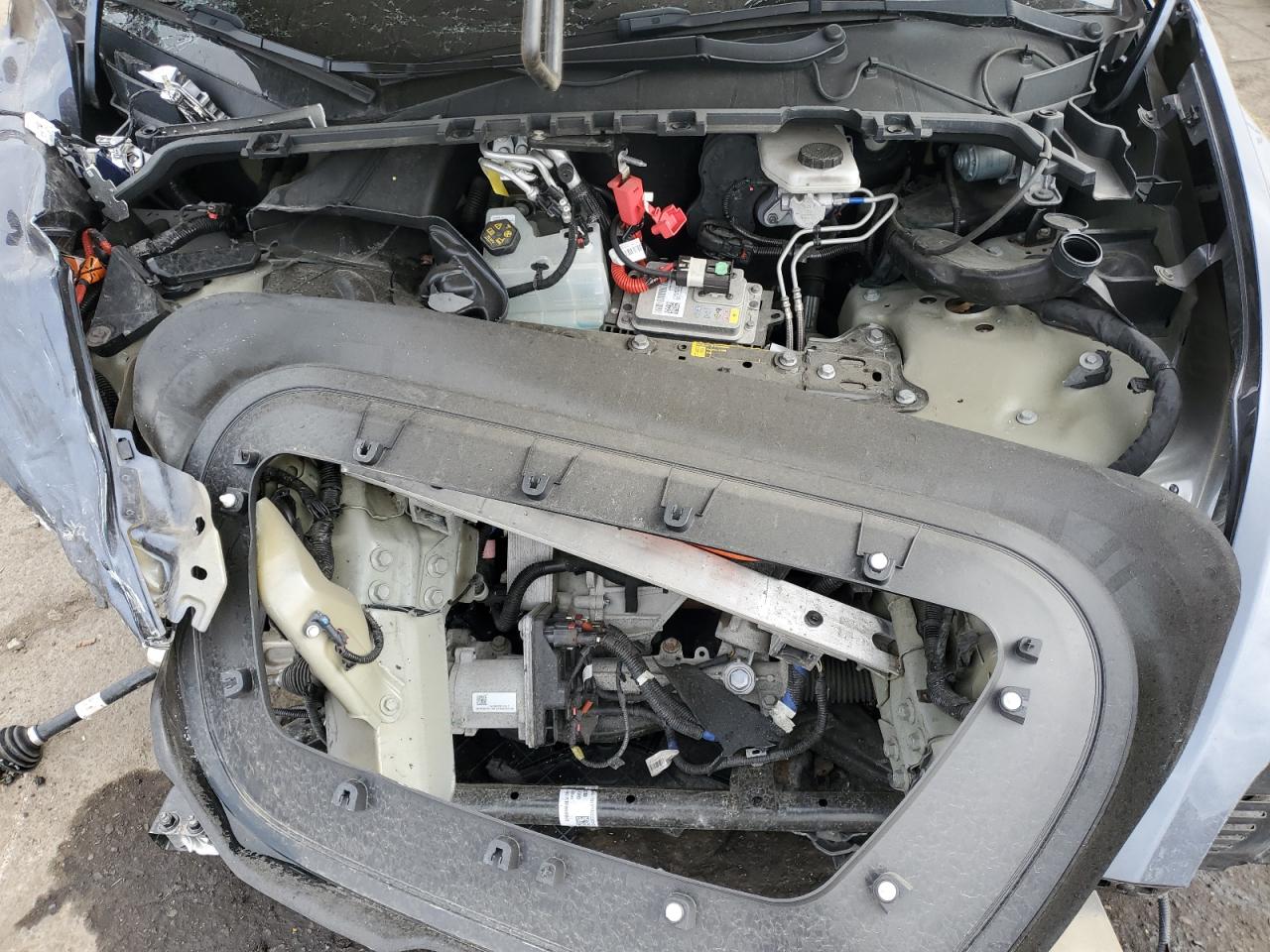 2022 Tesla Model Y VIN: 7SAYGDEE7NF372487 Lot: 85827745