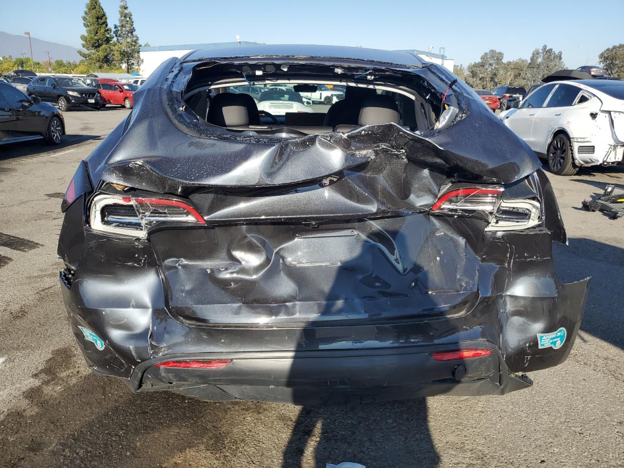 2025 Tesla Model Y VIN: 7SAYGDED8SF317193 Lot: 84065245