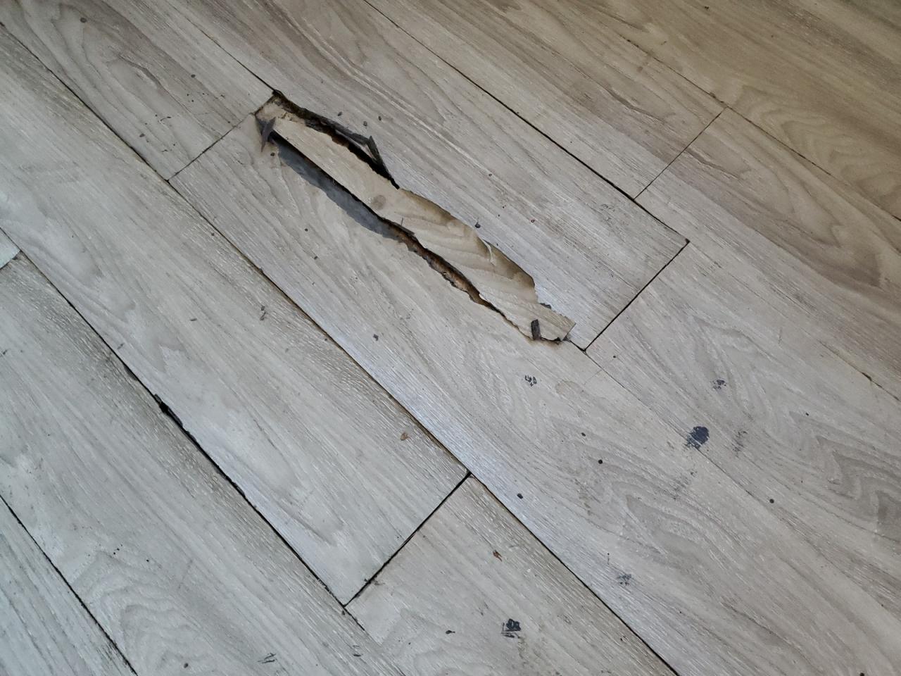 2016 Ford Econoline E450 Super Duty Cutaway Van VIN: 1FDXE4FS2GDC49950 Lot: 85205315