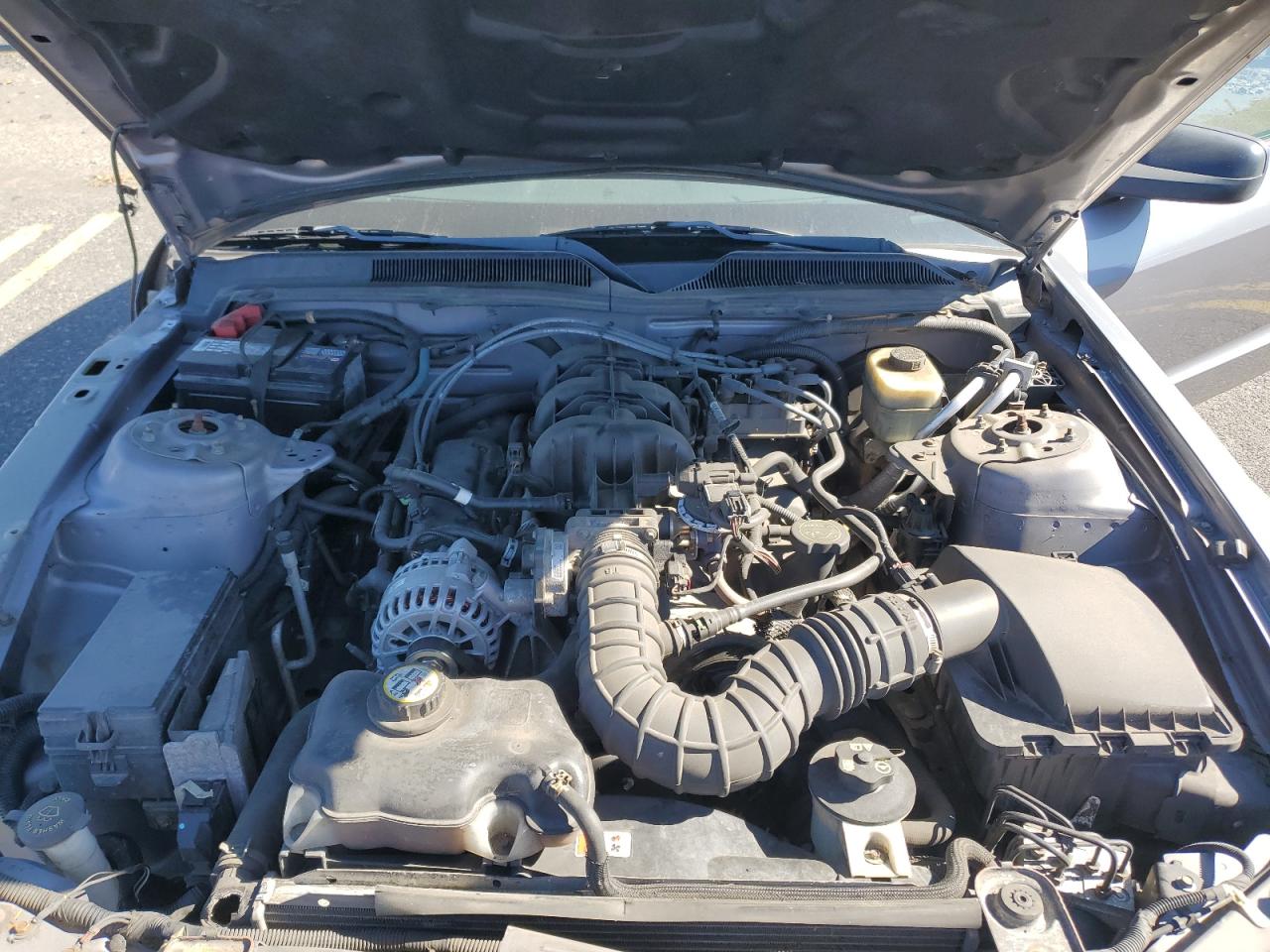 2006 Ford Mustang VIN: 1ZVFT80N965261048 Lot: 82345005