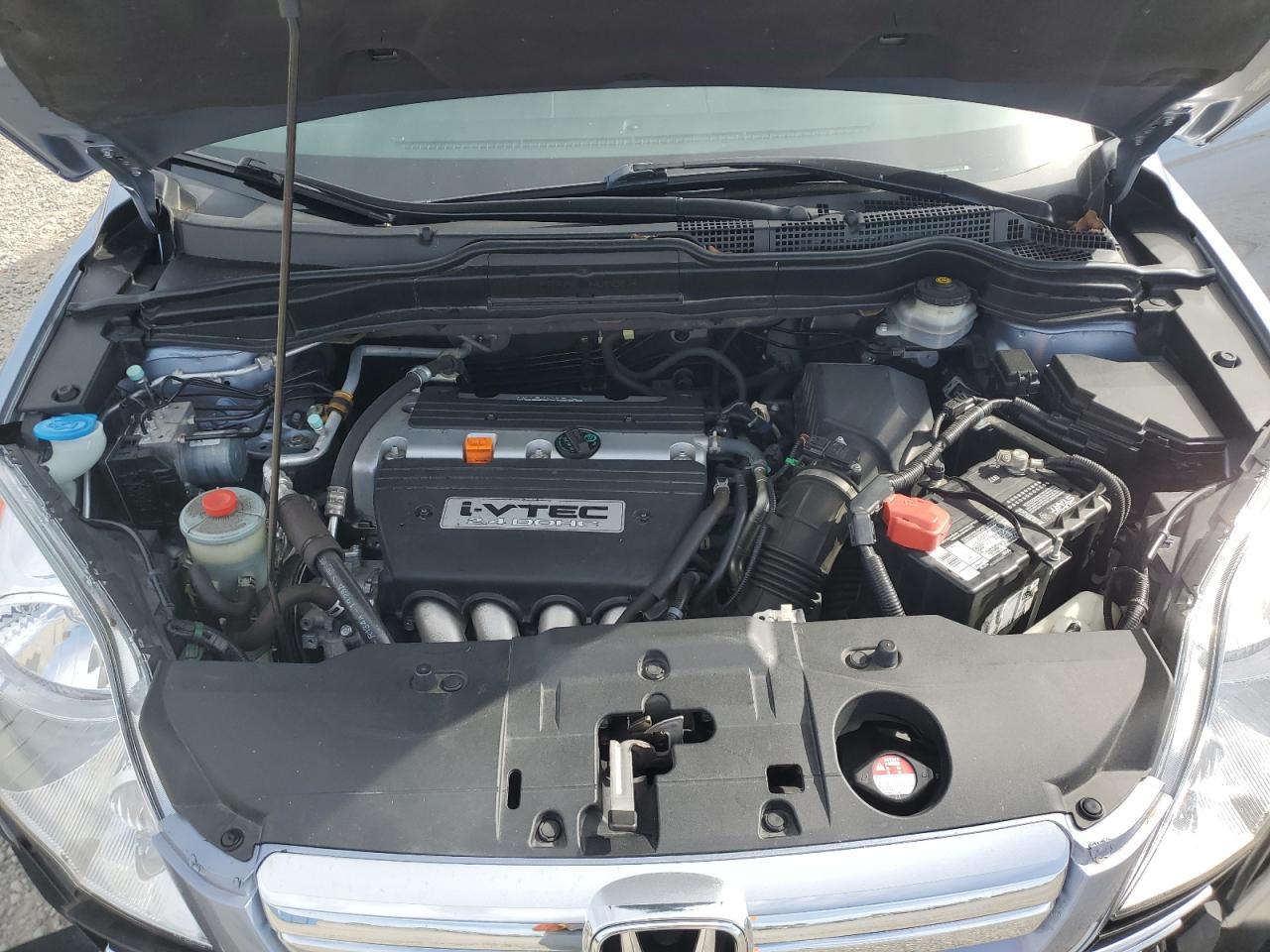 2008 Honda Cr-V Exl VIN: 5J6RE48778L044731 Lot: 86147235