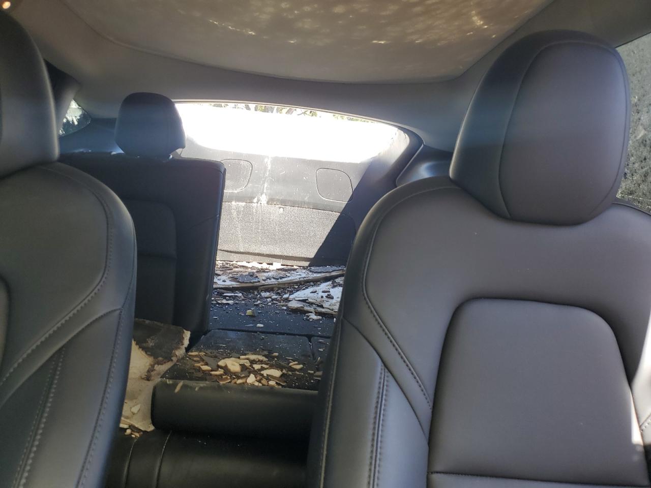2023 Tesla Model Y VIN: 7SAYGDEEXPF847021 Lot: 82144155