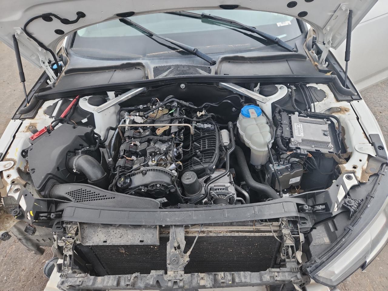 2017 Audi A4 Ultra Premium Plus VIN: WAULMAF49HN065474 Lot: 82173165