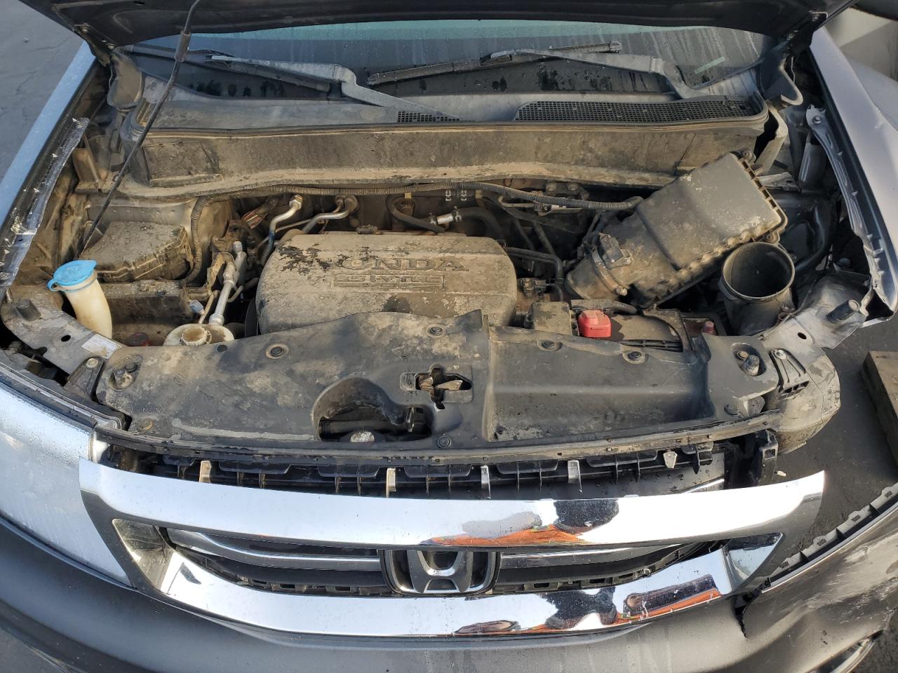 2013 Honda Pilot Exl VIN: 5FNYF4H53DB068339 Lot: 82711745