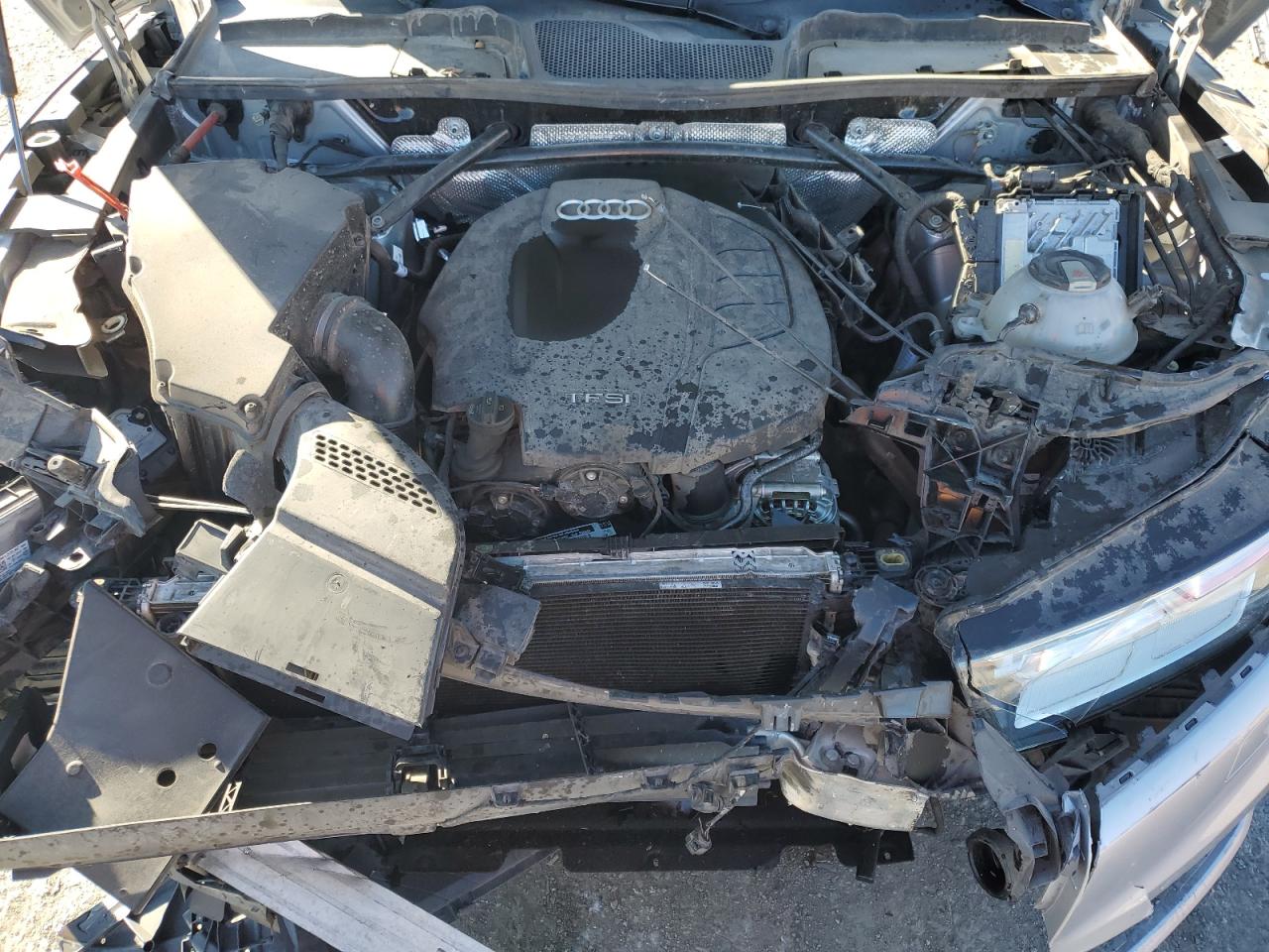 2019 Audi Q5 Premium Plus VIN: WA1BNAFY6K2113885 Lot: 87228905