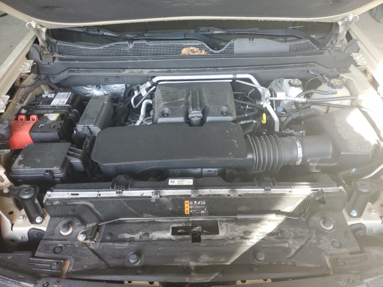 2024 Chevrolet Colorado Trail Boss VIN: 1GCPTEEK3R1190168 Lot: 82382955