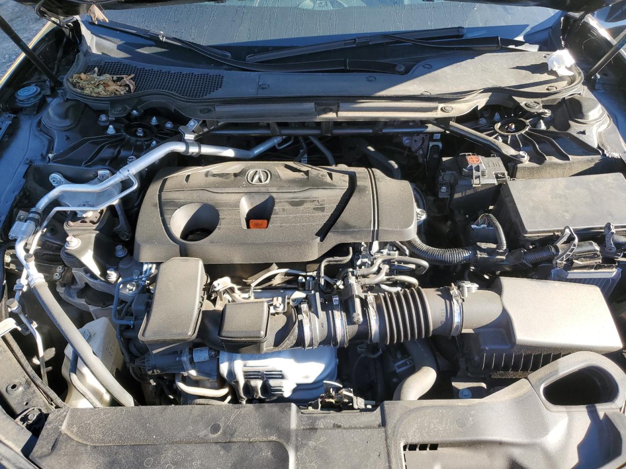 2023 Acura Tlx Tech A VIN: 19UUB5F51PA005581 Lot: 87222315