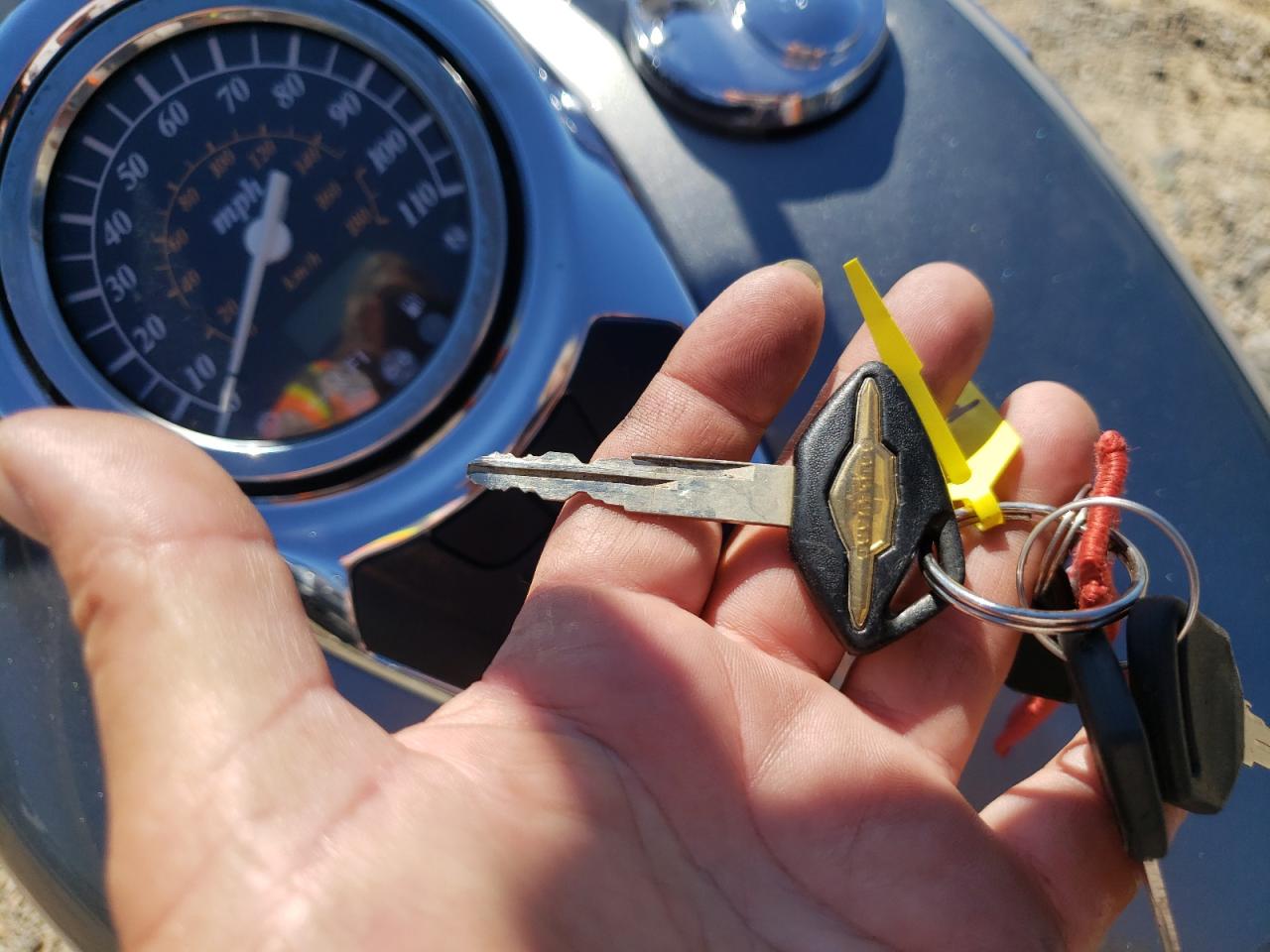 vl 800 volusia vl 800 volusia