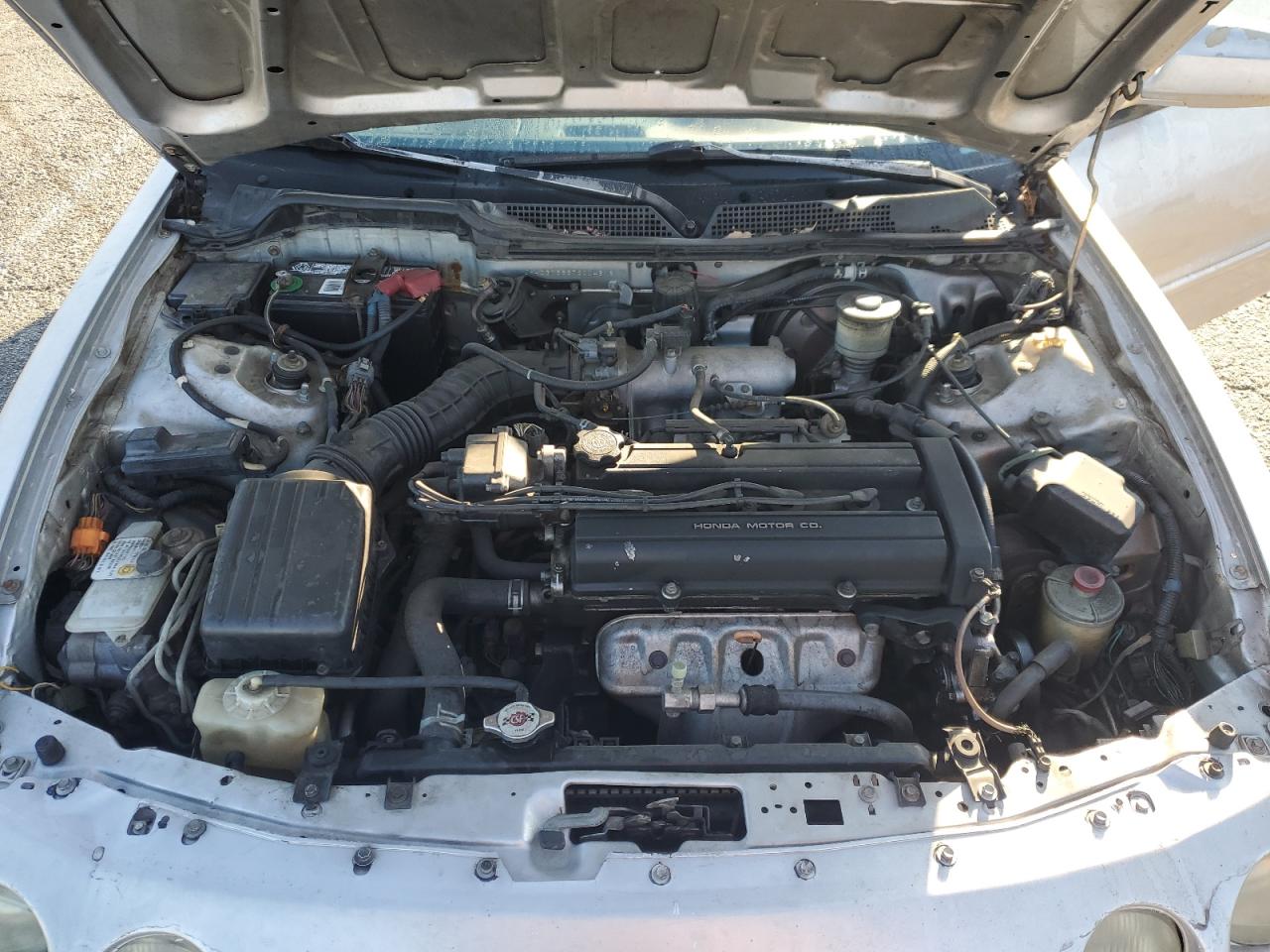 1996 Acura Integra VIN: JH4DB7663TS004616 Lot: 81868305