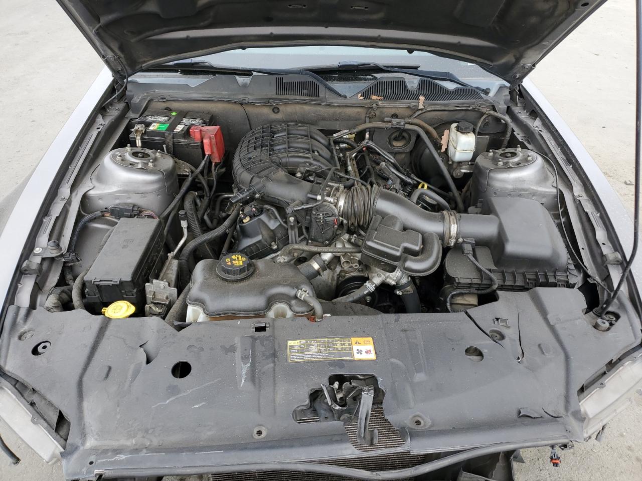 2014 Ford Mustang VIN: 1ZVBP8AM1E5224499 Lot: 81845745