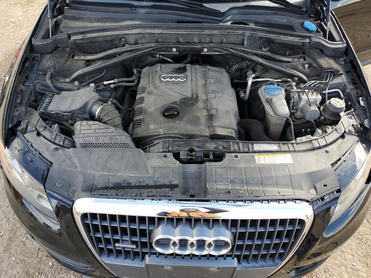 2012 Audi Q5 Premium Plus VIN: WA1LFAFP0CA026337 Lot: 89548875