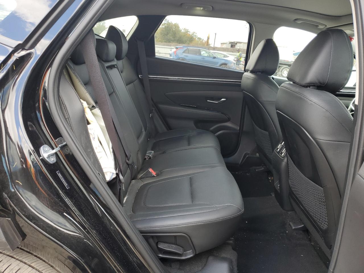 2024 Hyundai Tucson Limited VIN: 5NMJECDE1RH316758 Lot: 86164175