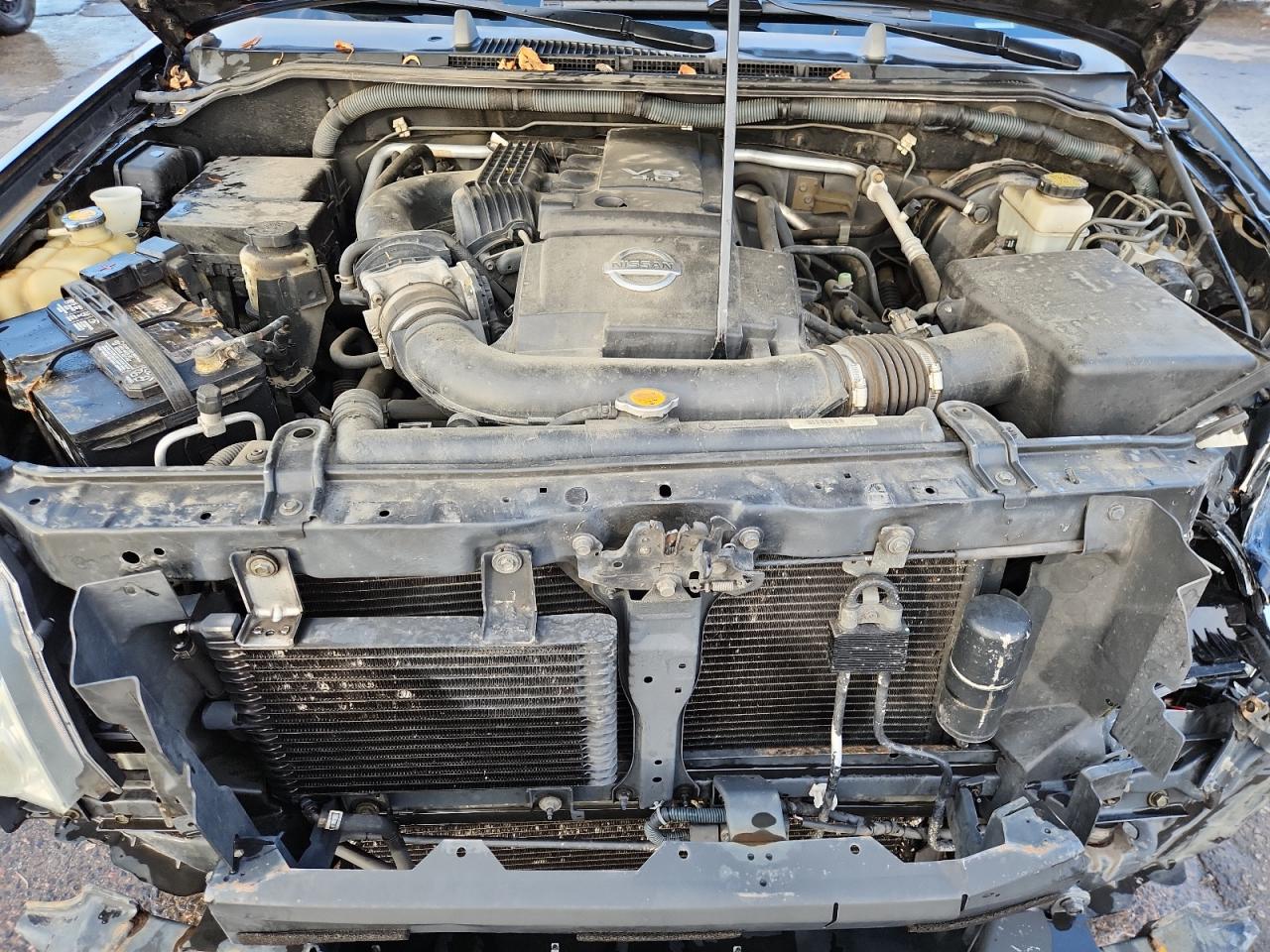 2006 Nissan Xterra Off Road VIN: 5N1AN08W96C558110 Lot: 85552915