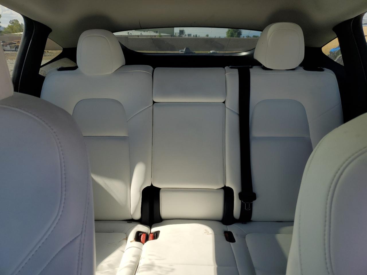 2024 Tesla Model Y VIN: 7SAYGAEE4RF982772 Lot: 85946255