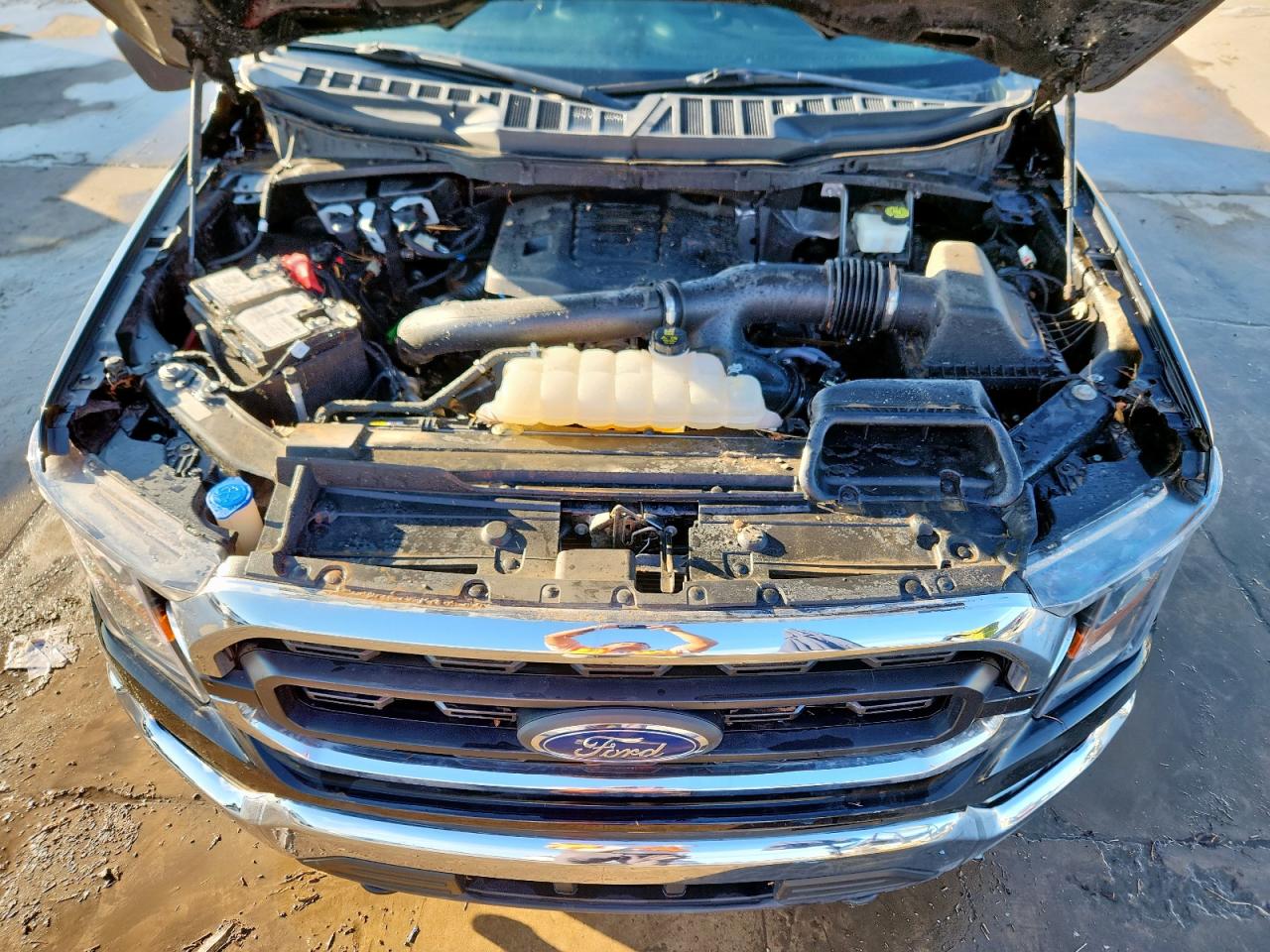 2023 Ford F150 Xlt VIN: 1FTFW1E82PFA35353 Lot: 71209985