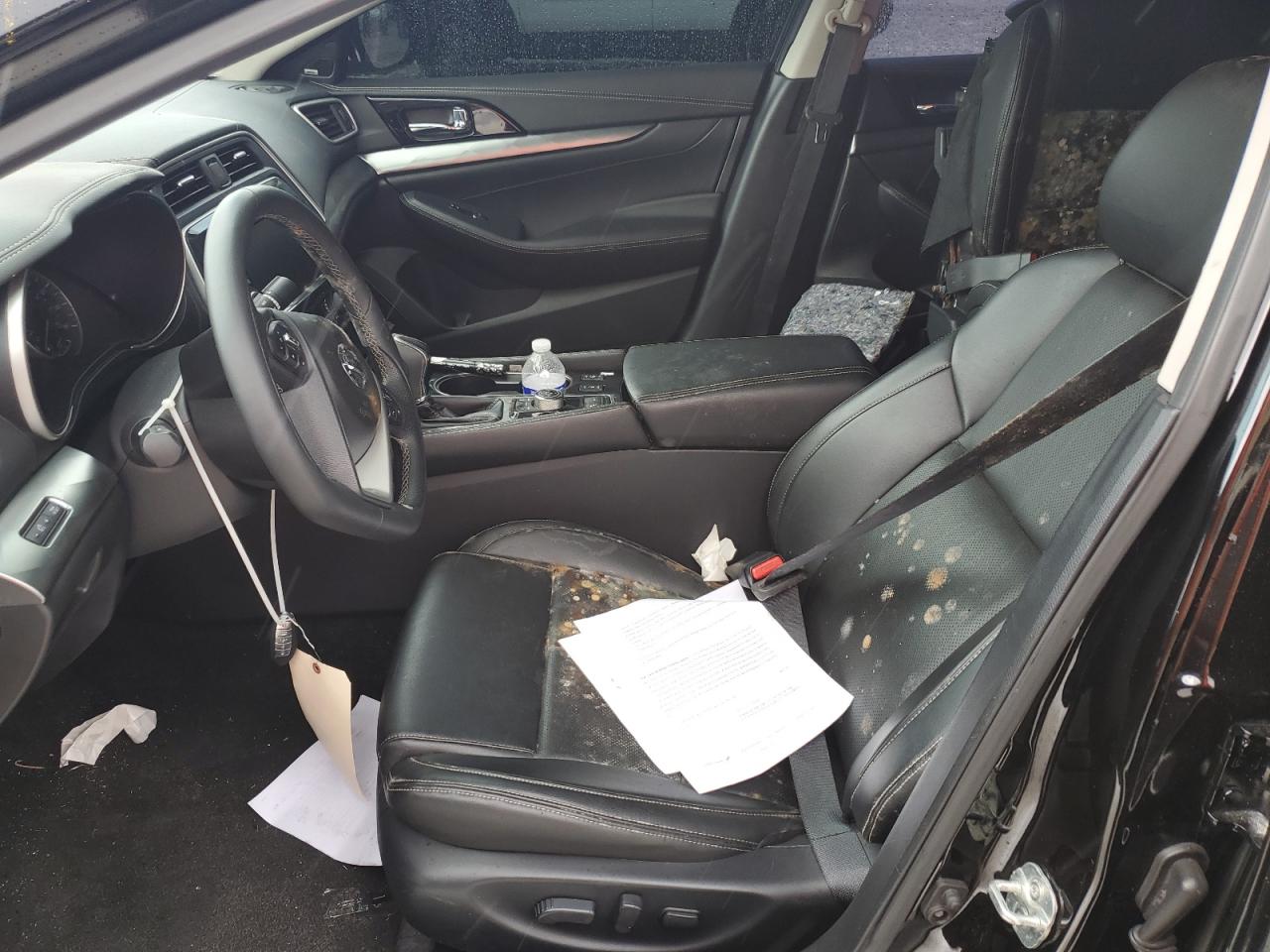 2020 Nissan Maxima Sl VIN: 1N4AA6DV7LC383356 Lot: 80273125