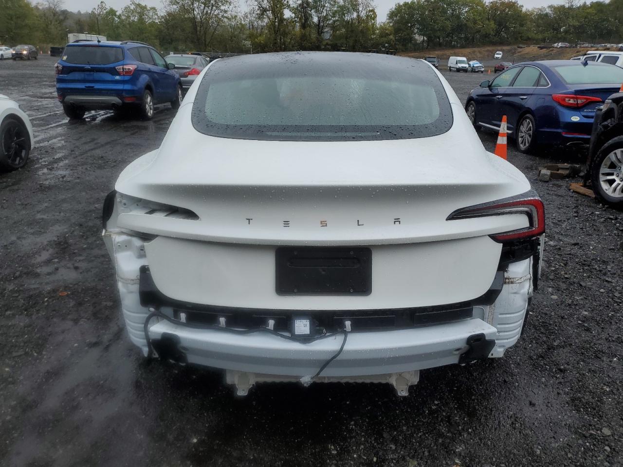 2024 Tesla Model 3 VIN: 5YJ3E1EA5RF728546 Lot: 82425375