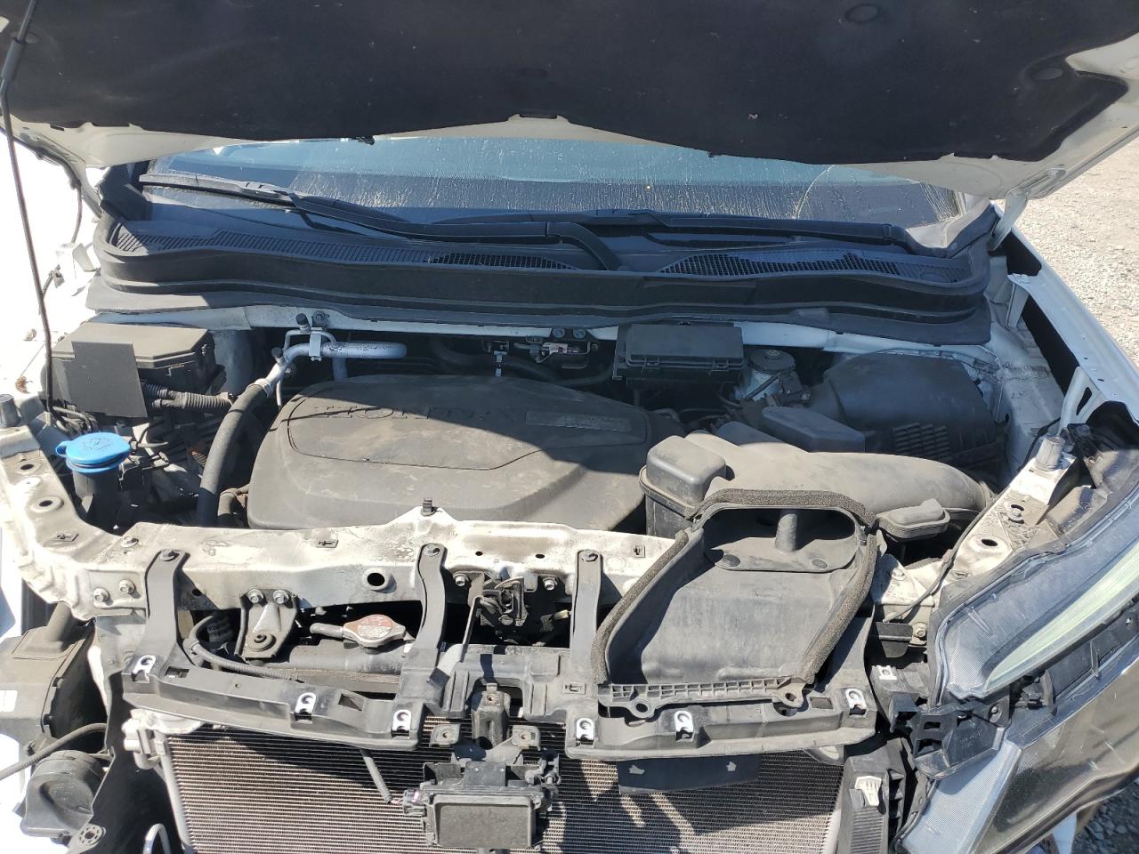 2019 Honda Pilot Ex VIN: 5FNYF5H39KB023911 Lot: 82315295