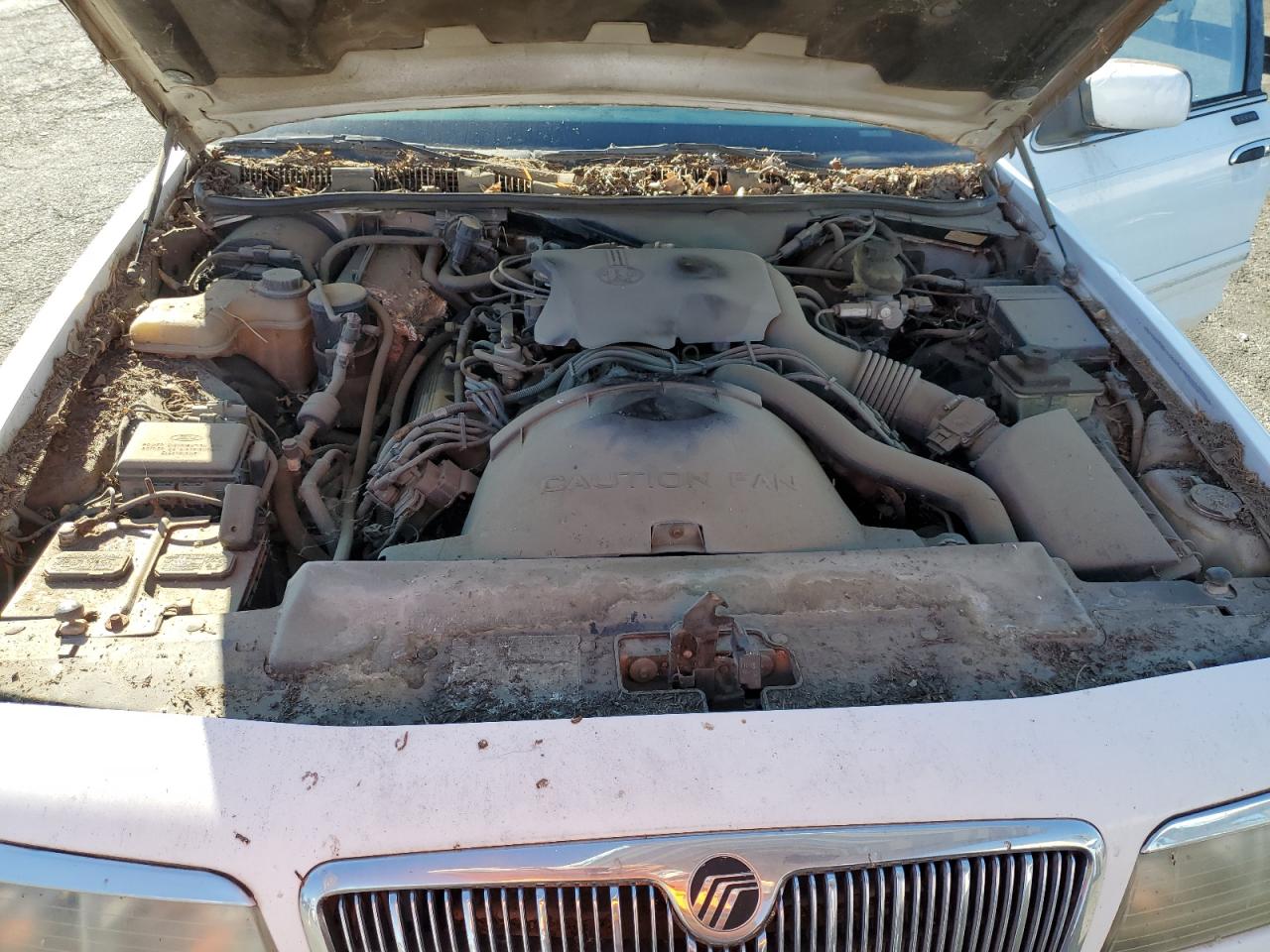 1996 Mercury Grand Marquis Ls VIN: 2MELM75W3TX703796 Lot: 85147545