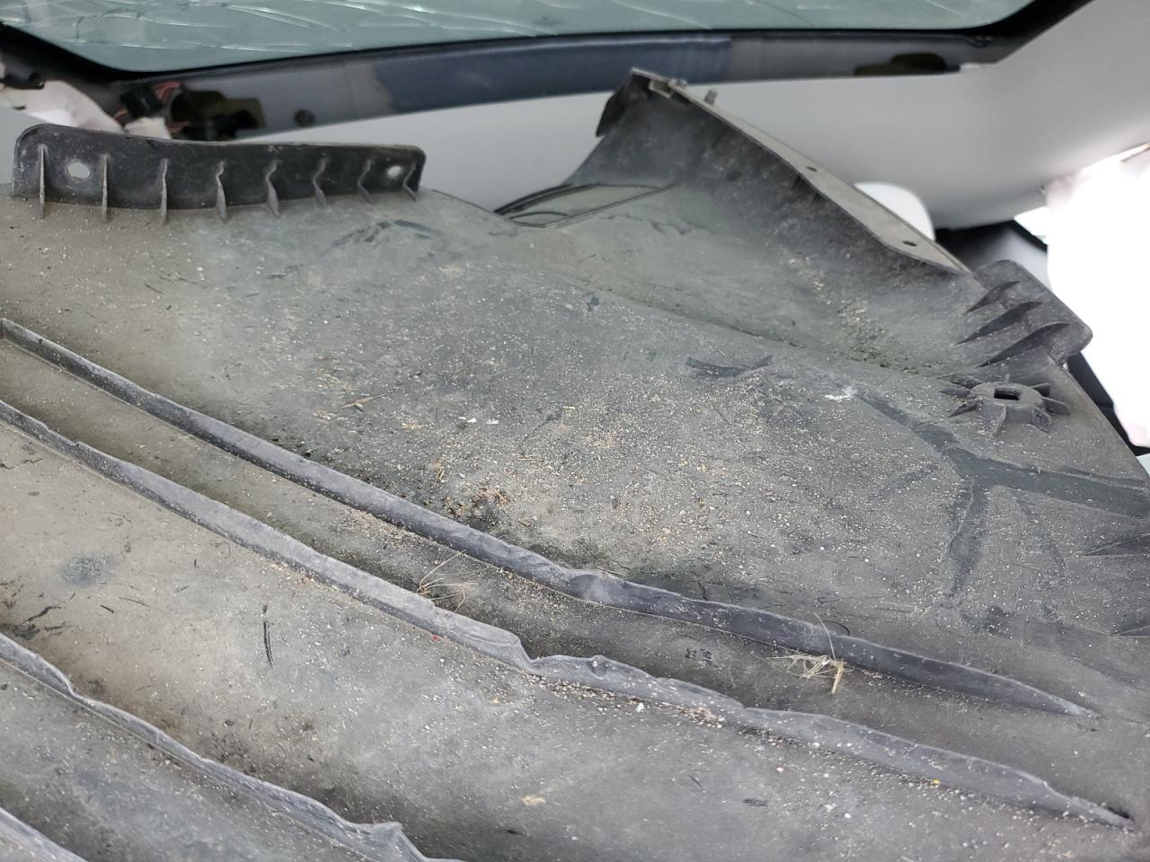 2022 Tesla Model Y VIN: 7SAYGDEE7NF372487 Lot: 85827745