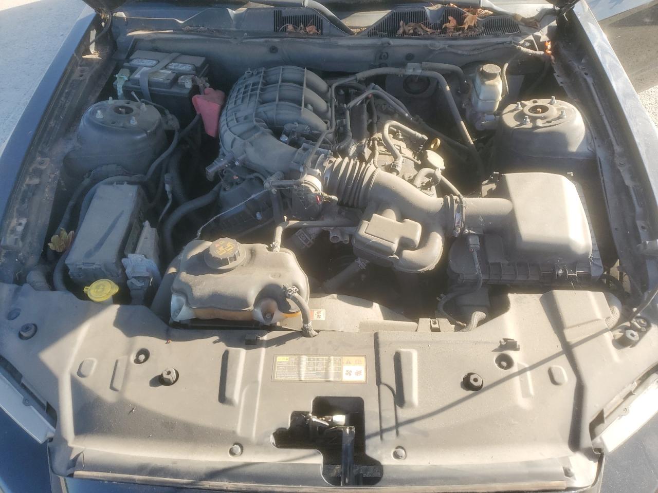 2014 Ford Mustang VIN: 1ZVBP8AM4E5294305 Lot: 81937525