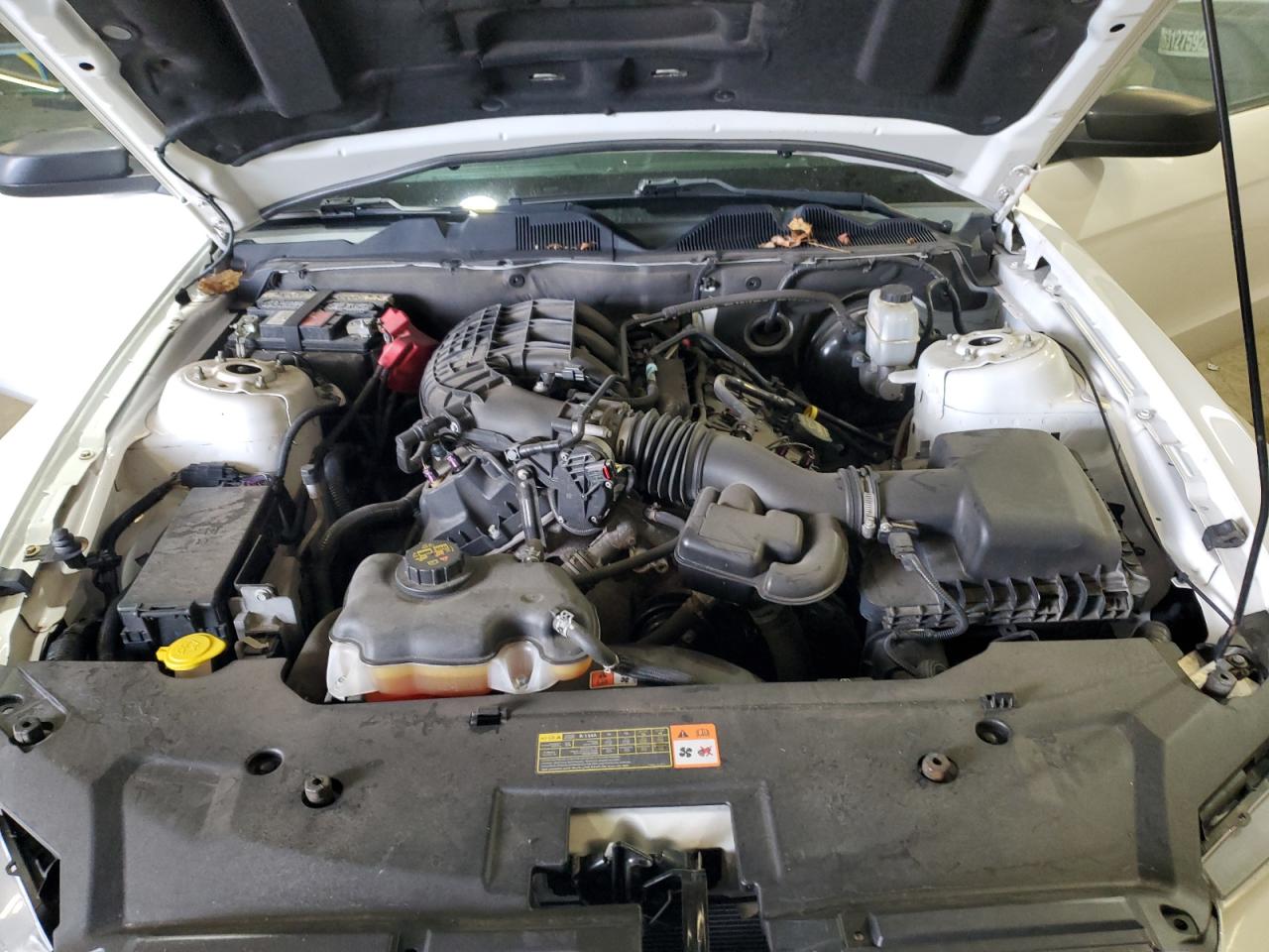 2013 Ford Mustang VIN: 1ZVBP8AM5D5220325 Lot: 90522355