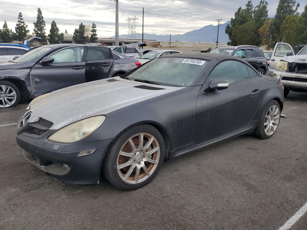 Vehicle photo