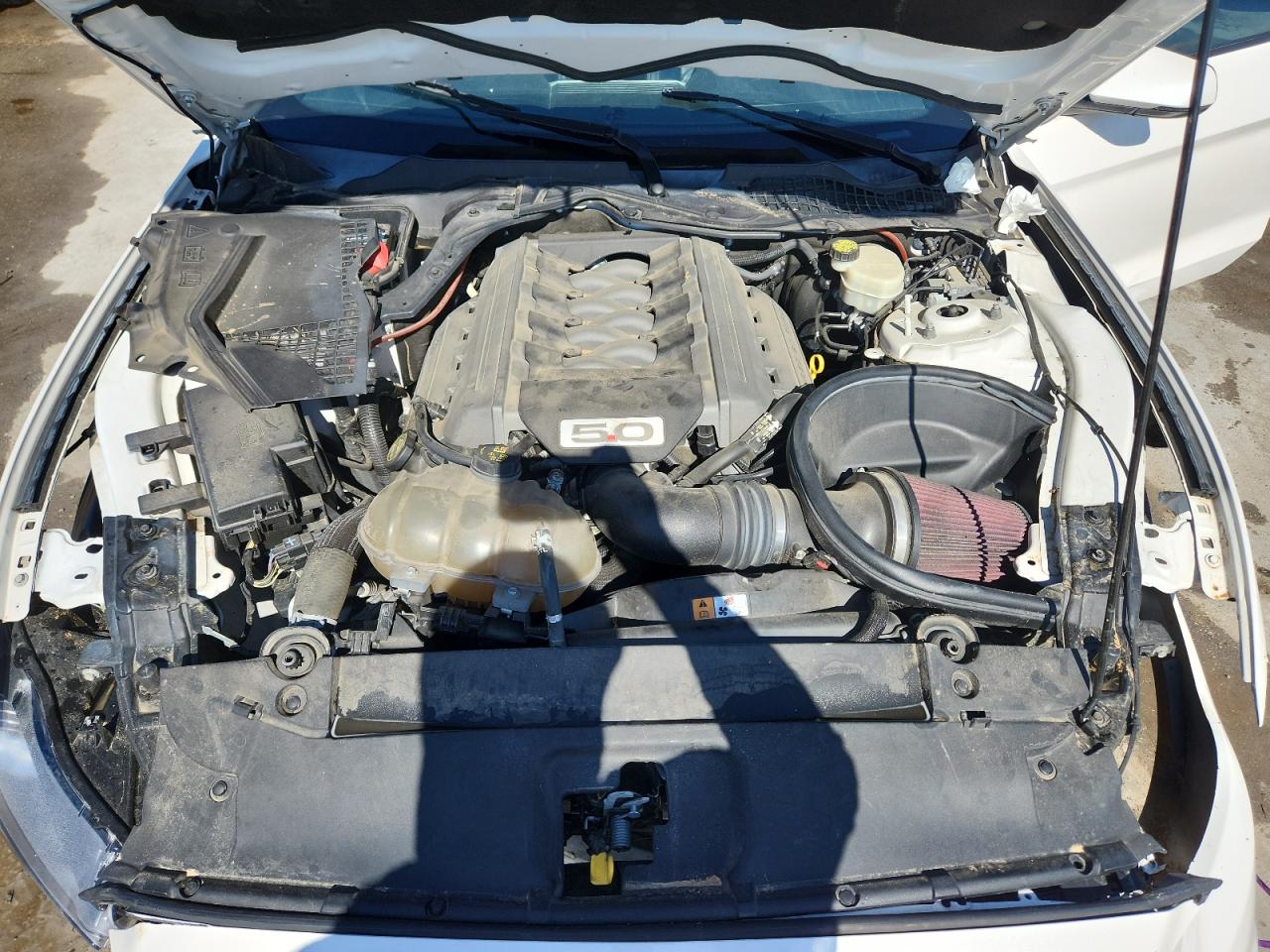 2017 Ford Mustang Gt VIN: 1FA6P8CF9H5249034 Lot: 87272755