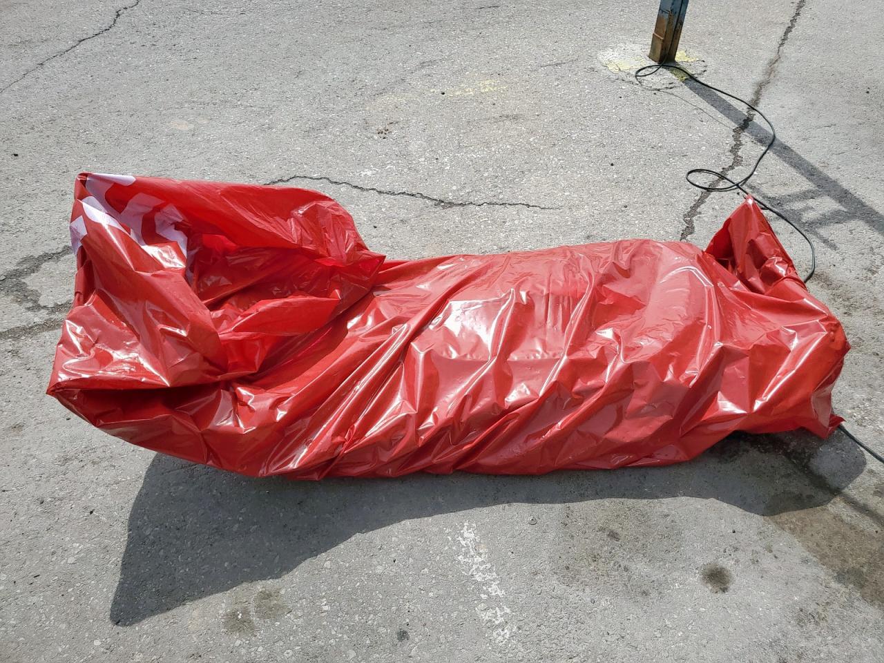 2023 Tesla Model Y VIN: 7SAYGDEF3PF958535 Lot: 85333755