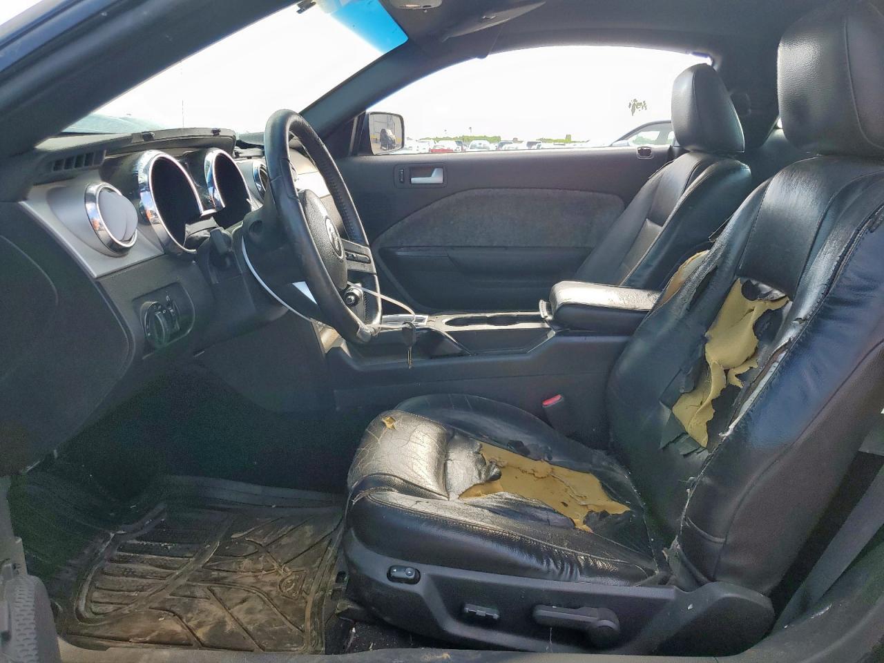 2009 Ford Mustang VIN: 1ZVHT80N495118795 Lot: 85481785