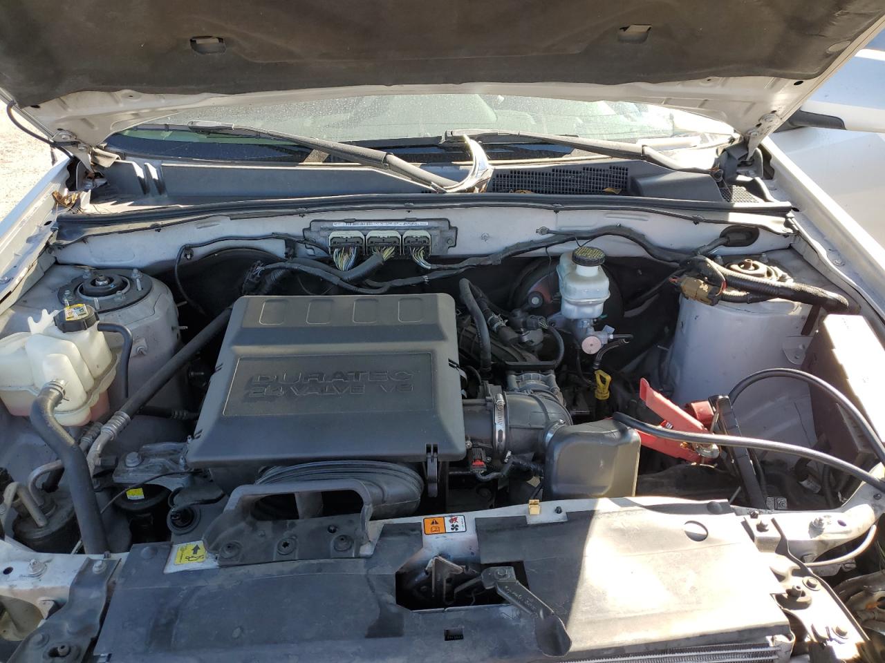 2010 Ford Escape Limited VIN: 1FMCU0EG4AKC89151 Lot: 82397405