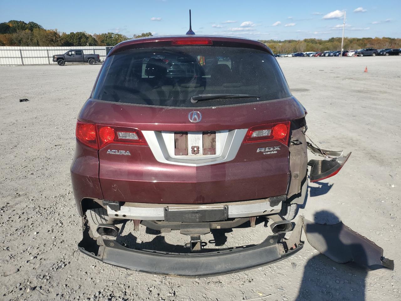 2011 Acura Rdx VIN: 5J8TB2H29BA003874 Lot: 90903245