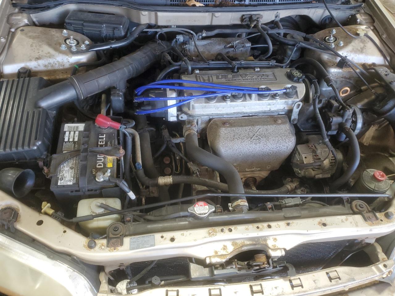 2002 Honda Accord Lx VIN: JHMCG66572C003833 Lot: 85338035