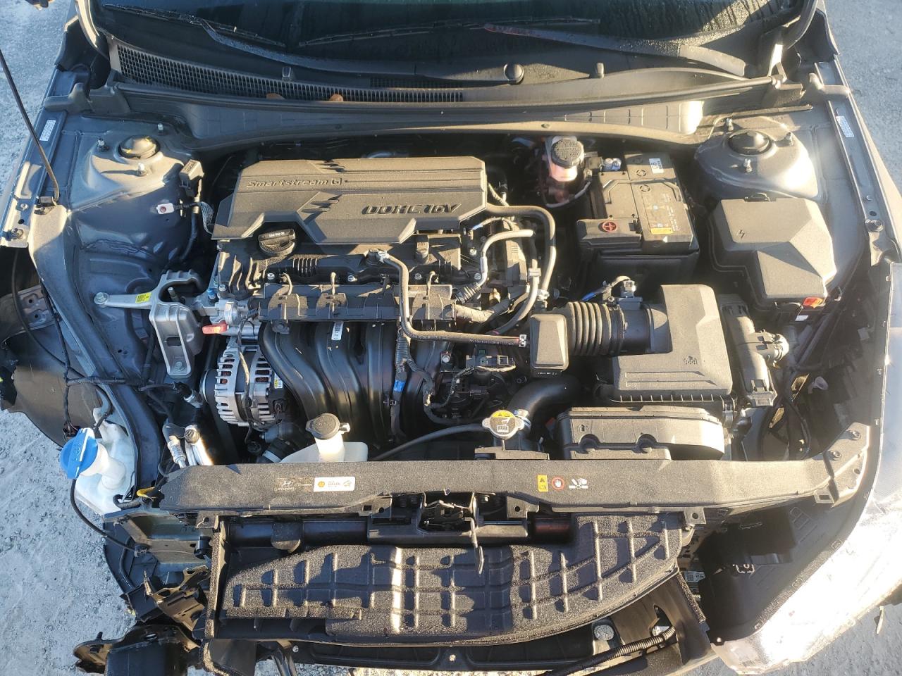 Elantra Elantra