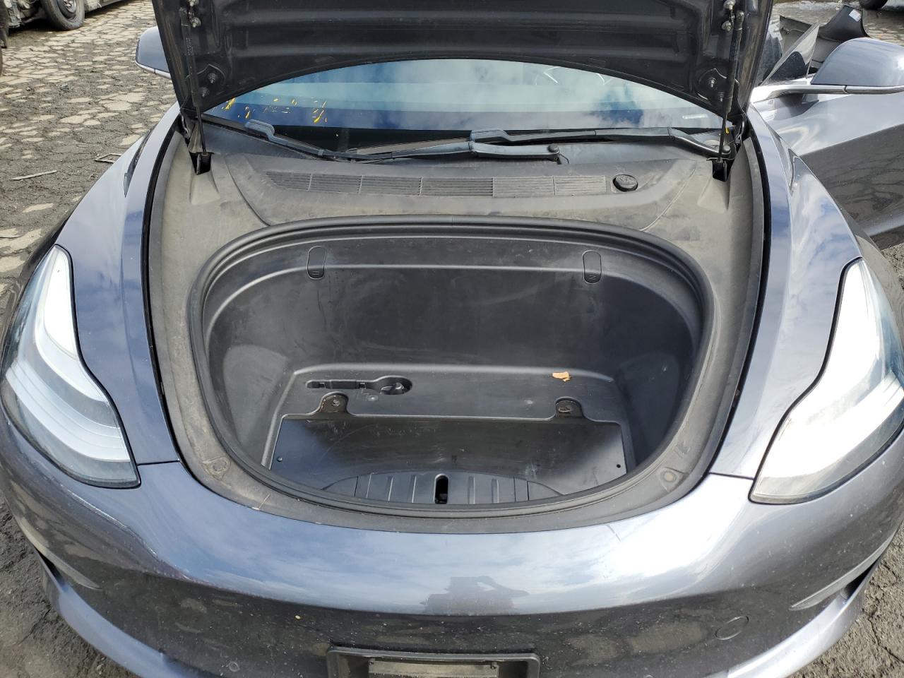 2019 Tesla Model 3 VIN: 5YJ3E1EA5KF307433 Lot: 86804655
