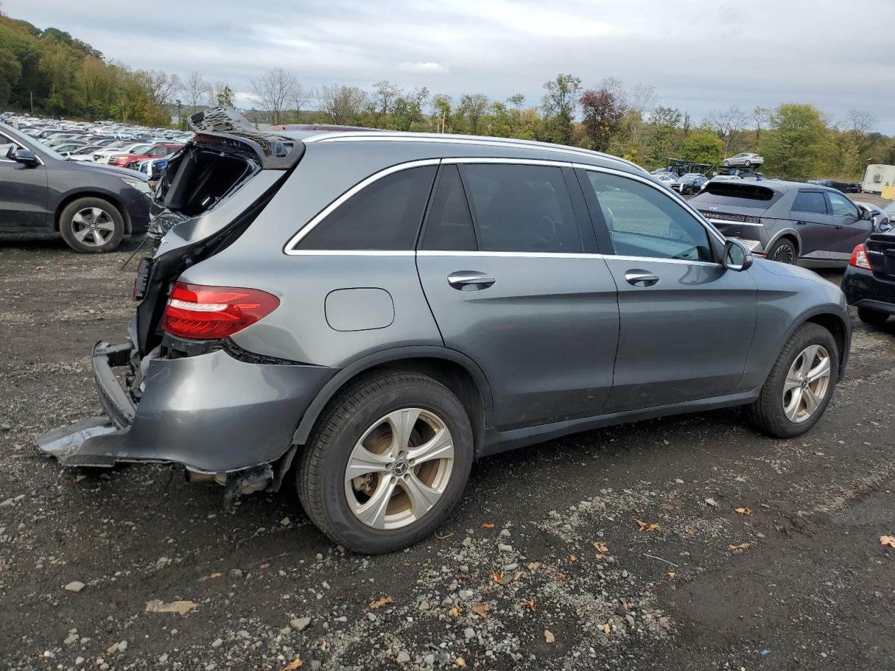 Фото: WDC0G4KB4HF234209